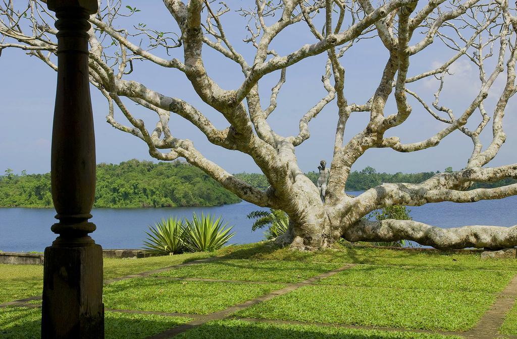 Lumbini Villa Bentota Rum bild