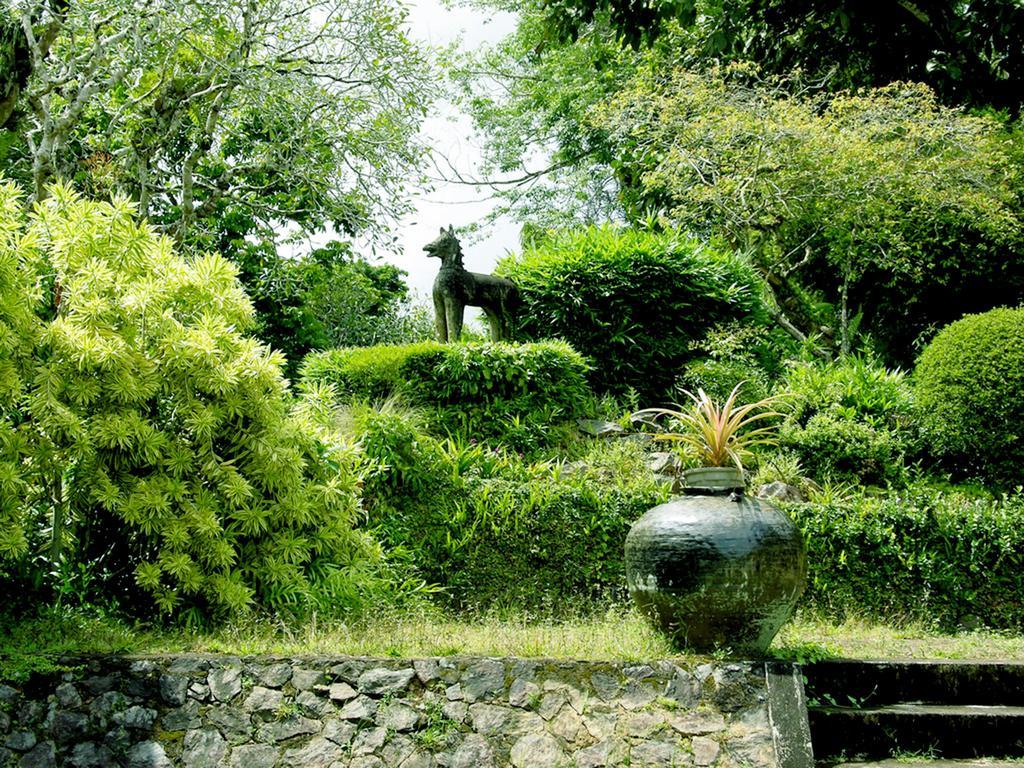 Lumbini Villa Bentota Rum bild