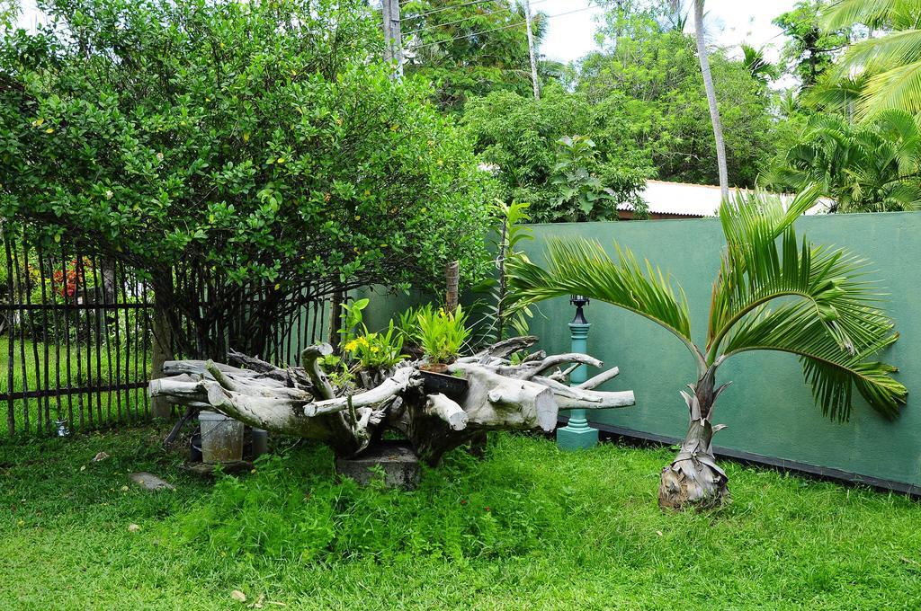 Lumbini Villa Bentota Rum bild